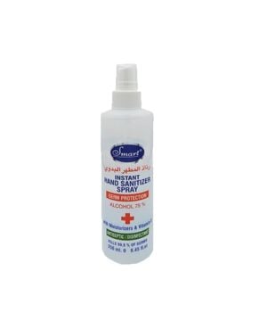Hand Sanitizer Spray – 3 X 250 ML