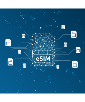 WorldSIM International eSIM Pro