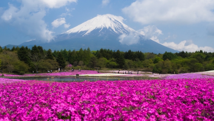 mount fiji, japan