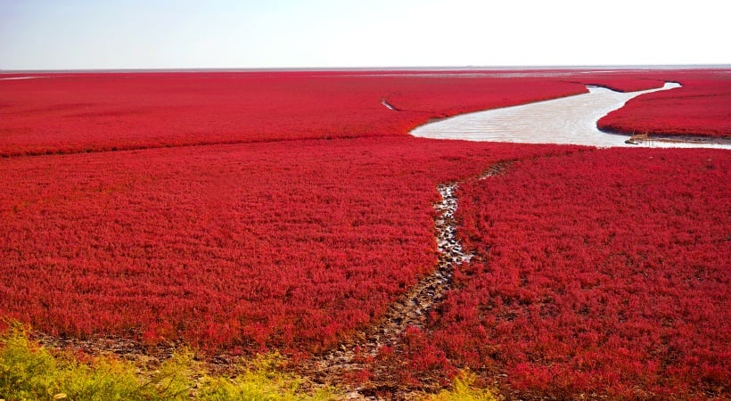 Red-Beach