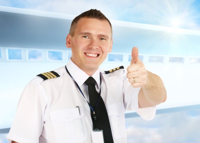 Steward
Steward