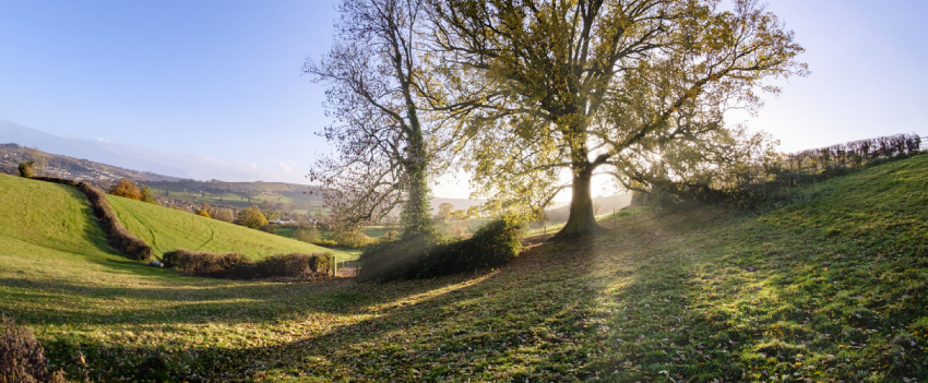 Cotswolds