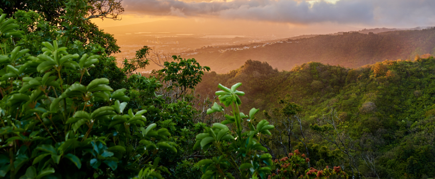 Honolulu