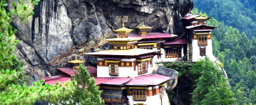 Tiger Nest